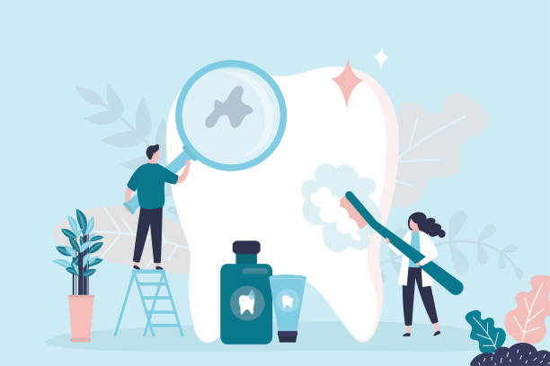 Professional  Holistic Dental Services in Cotati, CA